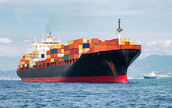Dawn Shipping Group_Shipping _ Forwarding